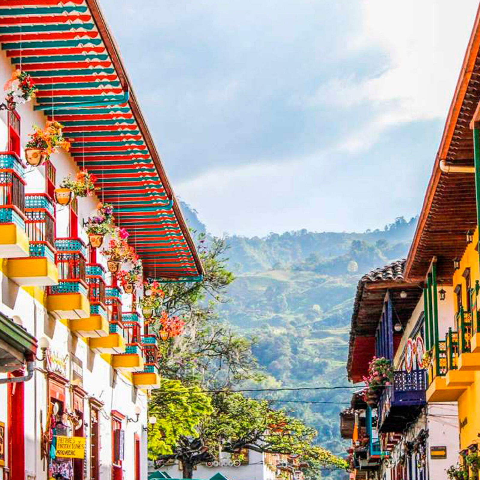 Descubre la Magia de Jardín: Viaja con Transportes Suroeste